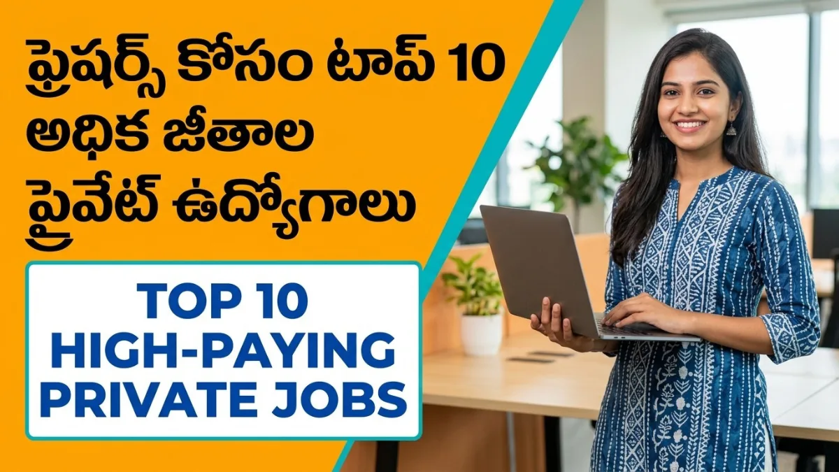 Top 10 High-Paying Private Jobs for Freshers